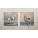 After James Pollard and Sidney Edwards  Pair coloured engravings framed as one  The Cheshire Pile