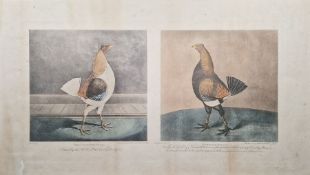 After James Pollard and Sidney Edwards  Pair coloured engravings framed as one  The Cheshire Pile