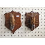 Two taxidermy deer stag hooves, each on inscribed oak wall mounts, the first named for Devon and