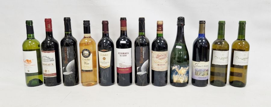 Twelve bottles of assorted wine including two Baturrica Gran Reserva 2010 Tarragona, Chateau Lafon