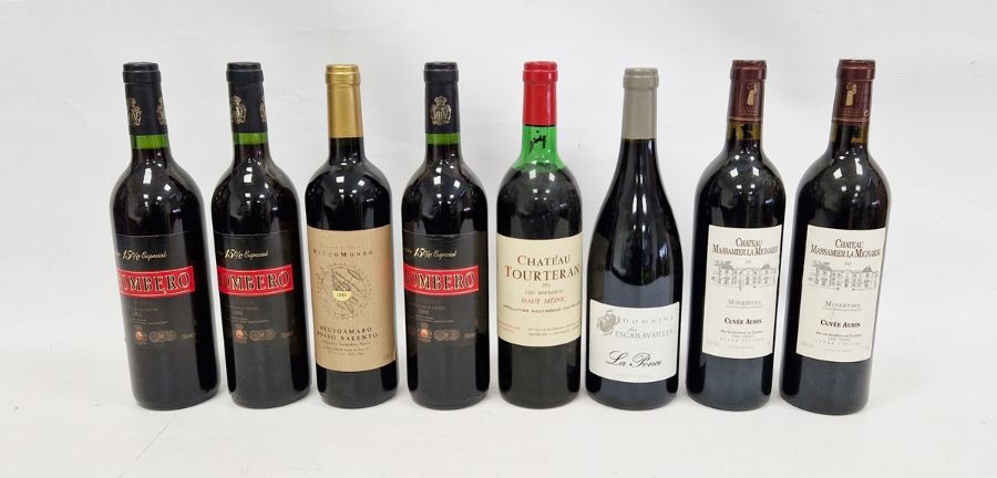 Eight assorted wines including three bottles of 2003 E1 Bombero Carinena, one Chateau Tourteran Hant