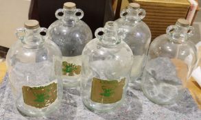 Seven glass demijohns (7)