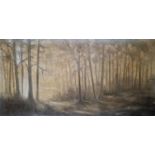 Robert Von Neumann  Oil on canvas "Marin Morning", sunlight through trees, labelled verso, 60cm x