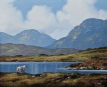 Eileen Meagher (b.1946) Oil on canvas  "Sheep on Roundstone Bog, Connemara 1999", signed and