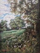 Percy Knighton Oil on canvas A Woodland in Summertime, signed and dated 1931 lower left, framed,