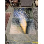 Modern Florescene by Lida rug depicting sunlit floral scene, 224cm x 151cm and a Paco Home grey rug,