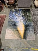 Modern Florescene by Lida rug depicting sunlit floral scene, 224cm x 151cm and a Paco Home grey rug,