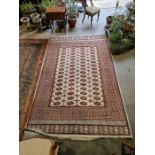 Eastern style cream ground carpet with four rows of 16 elephant foot guls enclosed by geometric