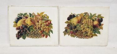 Pair of 19th century painted opaque glass plaques, of rectangular section, each painted with baskets