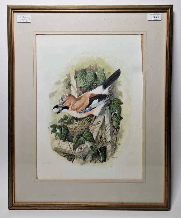 B.C.W. Watercolour Study of a Jay next to a nest, with an egg in its beak, initialled and dated 1988 - Image 5 of 5