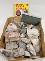Collection of assorted specimen fragments of quartz and other stone including Spoutcrag White Sea