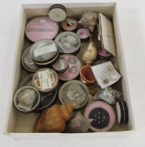 Collection of shells in circular cardboard glass-topped specimen boxes to include serpula extensa,
