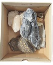 Collection of fossils to include a section of ammonite, a section of amber, black kyanite, etc