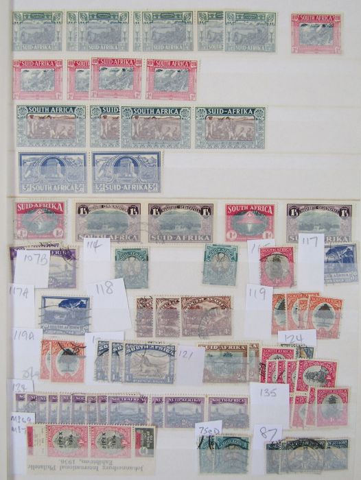 South Africa stamps: album, folder, and 4 stock books of definitives, commemoratives, officials - Image 4 of 18