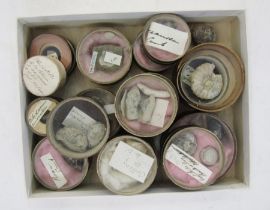 Quantity of fossils in cardboard and glass-topped specimen boxes, some with inscriptions to