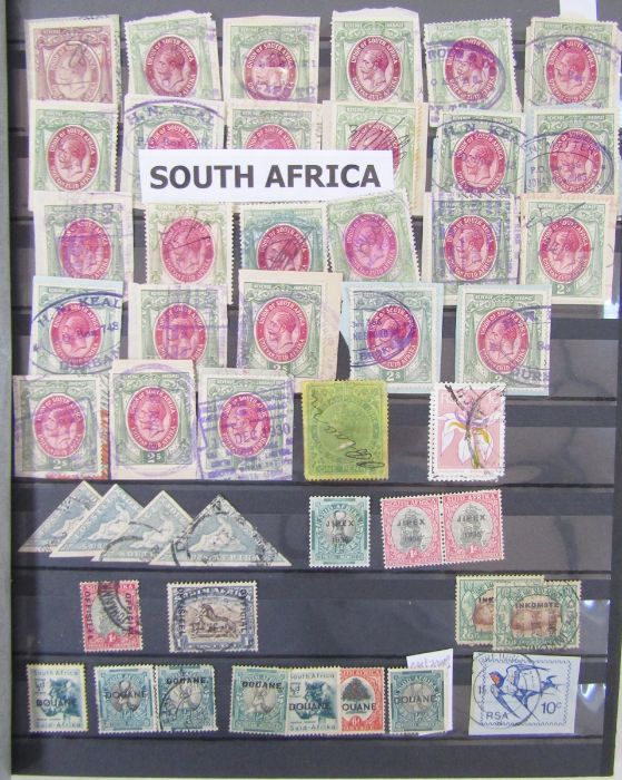 South Africa stamps: album, folder, and 4 stock books of definitives, commemoratives, officials - Image 3 of 18