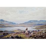 J C Harrison (1898-1985) Watercolour Grouse in moorland, Loch Broom, 32cm x 46cm  Condition Report