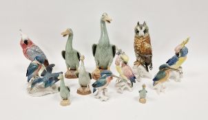 Collection of Karl Ens porcelain models of birds, including kingfishers, parrots and owl, printed