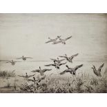 Roland Green (British, 1896-1976) Etching 'Ducks alighting', limited edition numbered 50/95?, signed