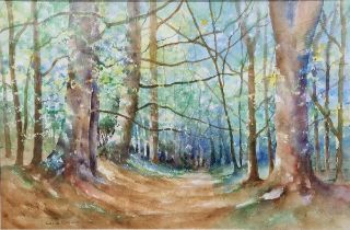 Valerie Cosway Pastel and watercolour drawing Woodland scene in early spring, signed lower left,