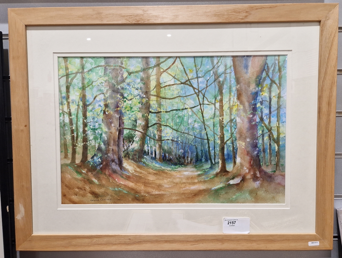 Valerie Cosway Pastel and watercolour drawing Woodland scene in early spring, signed lower left, - Image 2 of 3