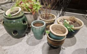 Collection of glazed and decorated plant pots of various sizes and colours (8)