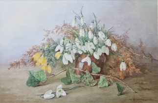 M. Scattergood Watercolour Still life study of snowdrops, signed lower right, framed and glazed,