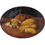 19th century school Oil on card Study of a dog, unsigned, framed and glazed, image size 10cm x 14cm