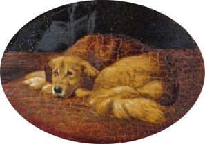 19th century school Oil on card Study of a dog, unsigned, framed and glazed, image size 10cm x 14cm