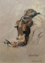 A R Mackinnon (1901-?) Pastel "Webster", study of a dachshund, signed and titled lower right, framed