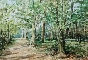 G Broomford (20th century) Watercolour Woodland scene with path, signed lower left, framed and