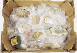 Collection of specimen stones and polished stone fragments including quartz, agate and others (1