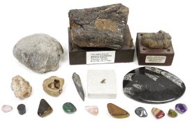 LOT WITHDRAWN Assorted fossils including a Trilobite on wooden mount, a fossilised linbone