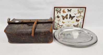 Early to mid 20th century framed collection of specimen butterflies and moths flanked by pink