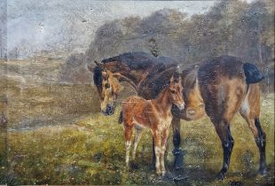 Sophie Turner (19th century) Oil on canvas Study of a mare and foal in field, signed, 24cm x 34cm