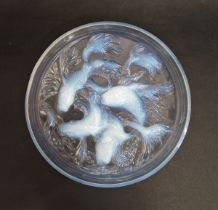 Rene Lalique large 'Cyprins' box lid no. 42, the opalescent glass lid with relief decoration of