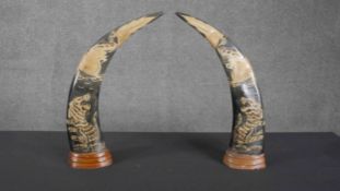 A pair of engraved Water Buffalo horns, each one decorated with a tiger and a dragon. H.41 W.30 D.