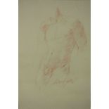 A framed and glazed red pencil drawing of a male nude, indistinctly signed. H.49 W.36cm.