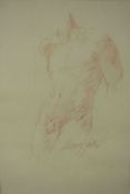 A framed and glazed red pencil drawing of a male nude, indistinctly signed. H.49 W.36cm.