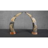 A pair of engraved Water Buffalo horns, each one decorated with a tiger and a dragon. H.41 W.30 D.