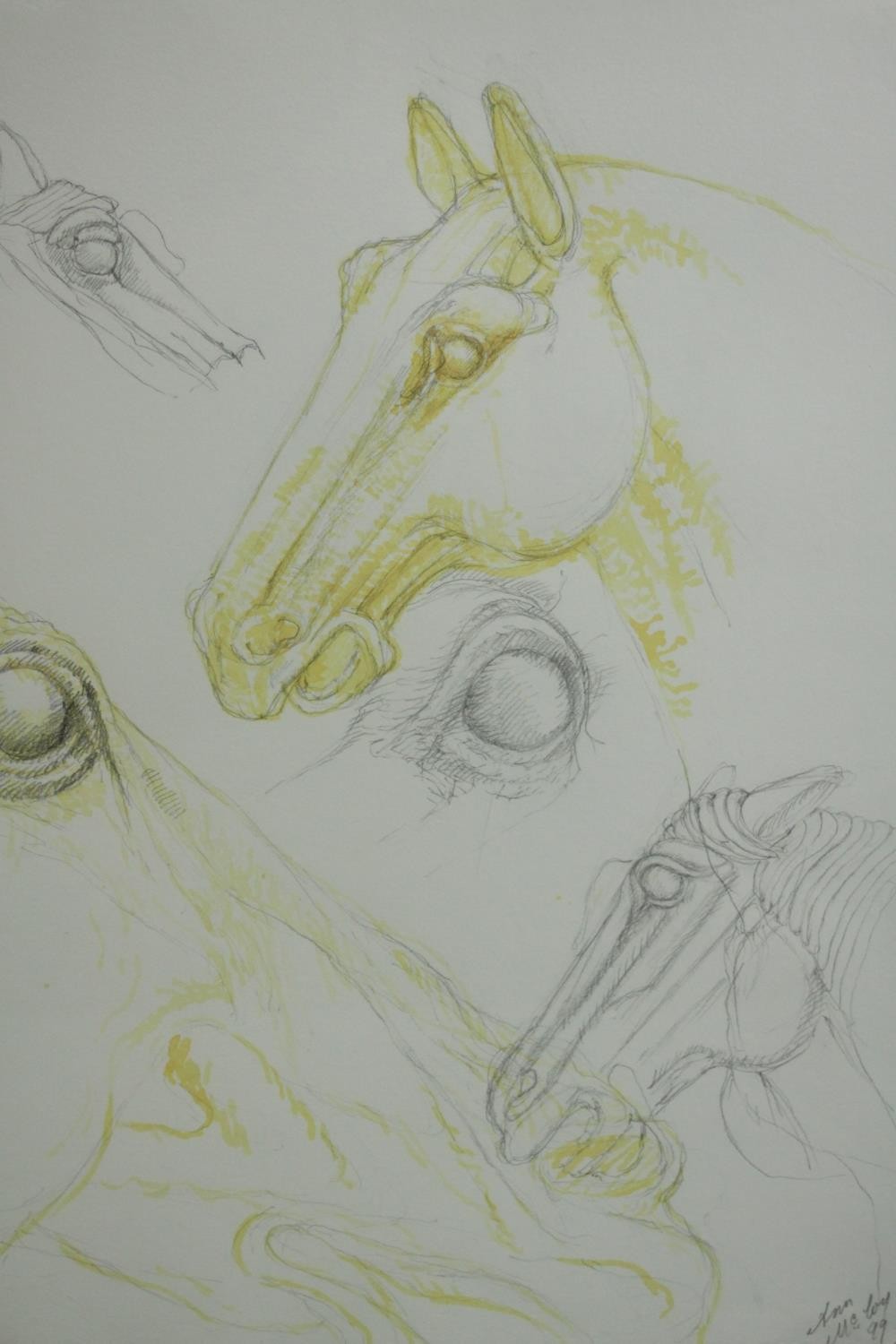 Ann McCoy (American b.1946), Equine Study 1999, pencil and watercolour on paper, signed and dated