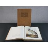 John James Audubon; The Original Water-Colour Painings for The Birds of America, volumes I and II,