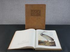 John James Audubon; The Original Water-Colour Painings for The Birds of America, volumes I and II,