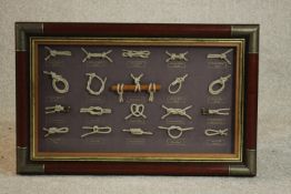 A late 20th century framed display set of nautical knots. H.44 W.68cm.