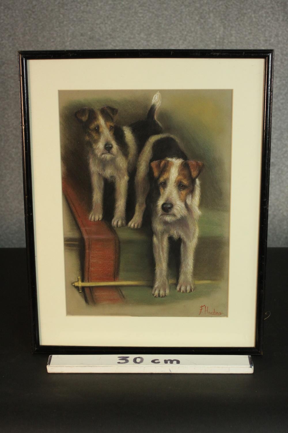 A framed and glazed pastel of two Fox Terriers, signed F. Harding. Info to back. H.45 W.35cm. - Image 3 of 5