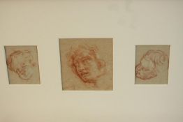 Italian school, first half of 17th century, five separate studies of heads - male, female and putti,