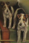 A framed and glazed pastel of two Fox Terriers, signed F. Harding. Info to back. H.45 W.35cm.