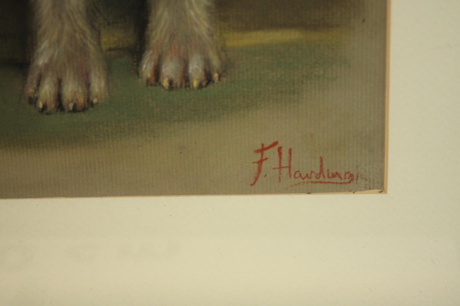 A framed and glazed pastel of two Fox Terriers, signed F. Harding. Info to back. H.45 W.35cm. - Image 4 of 5