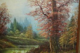 Yani (20th century school), River Through Woodland, oil on canvas, signed lower left. H.68 W.68cm.