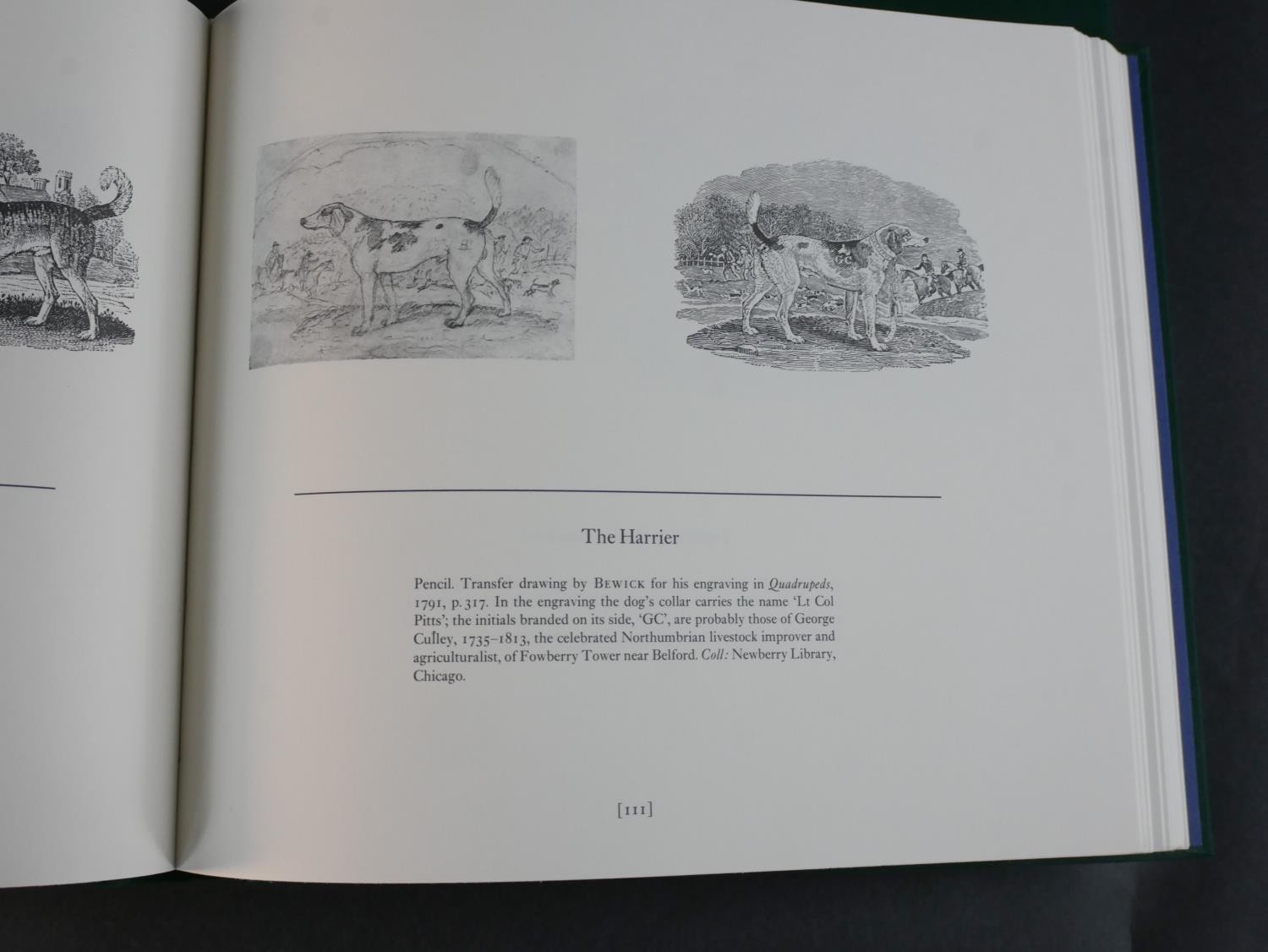 Iain Bain; The Watercolours and Drawings of Thomas Bewick And His Workshop Apprentices, volumes I - Image 9 of 9